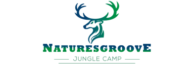 Nature Groove Jungle Camp